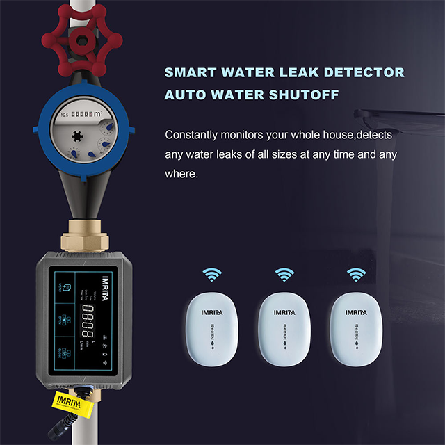 Water Leak Detector