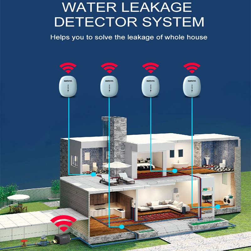 Water Leak Detection